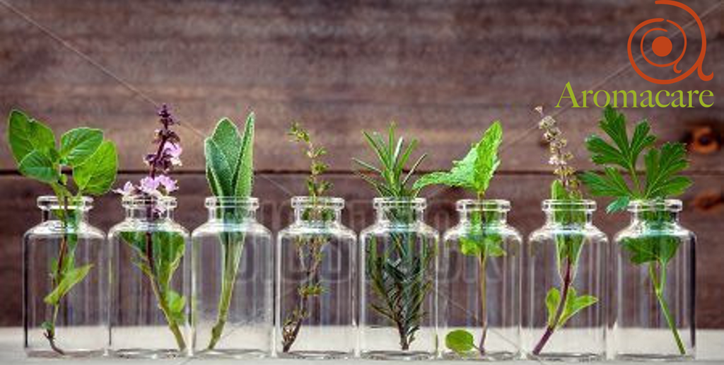 Surviving winter with aromatherapy oils