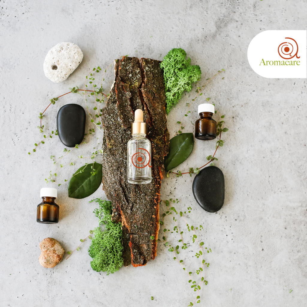 Aromatherapy in Multisensory Rooms: Empowering Those with Disabilities